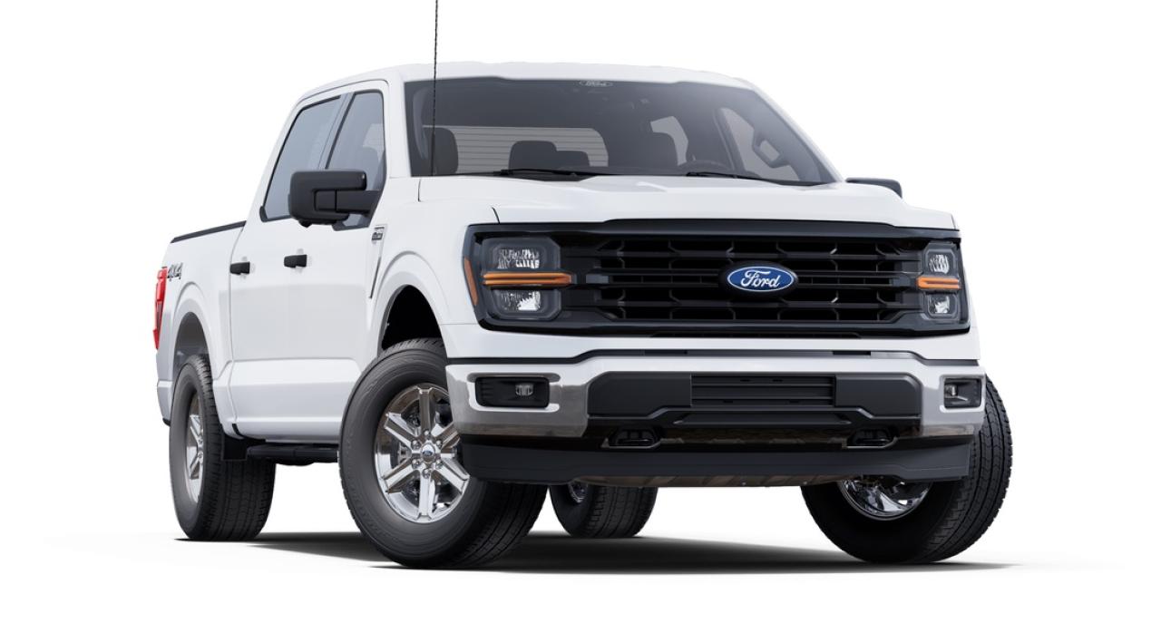 2025 Ford F-150 XLT Photo