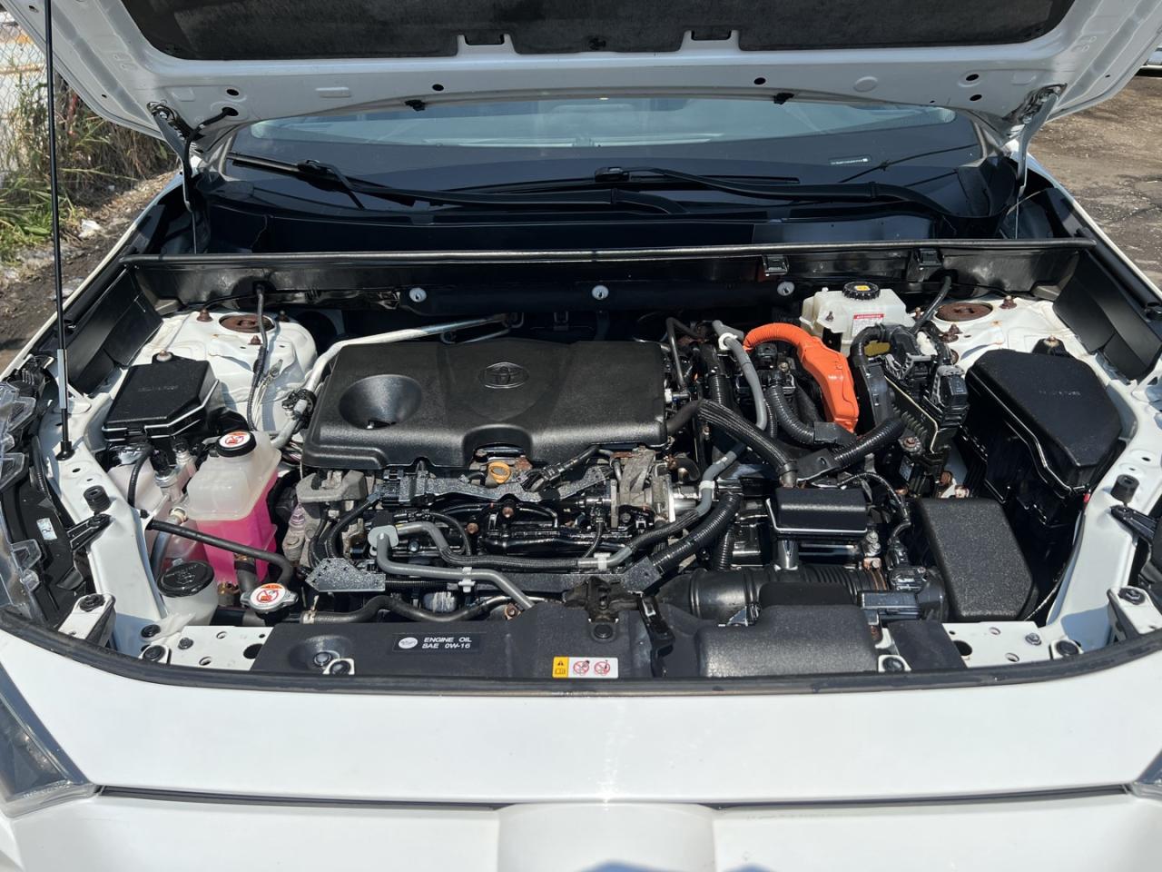 2019 Toyota RAV4 Hybrid LE - Photo #6