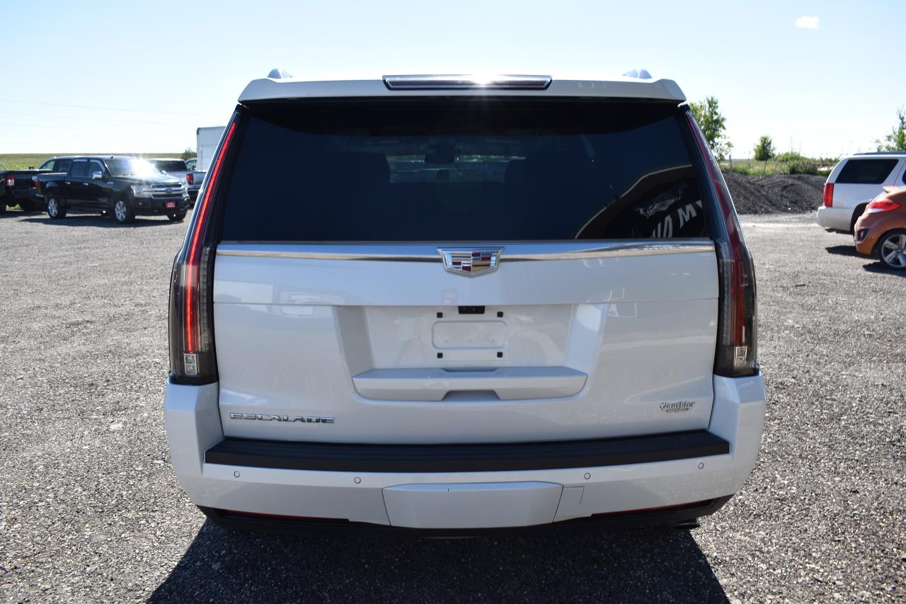 2020 Cadillac Escalade LUXURY - Photo #4