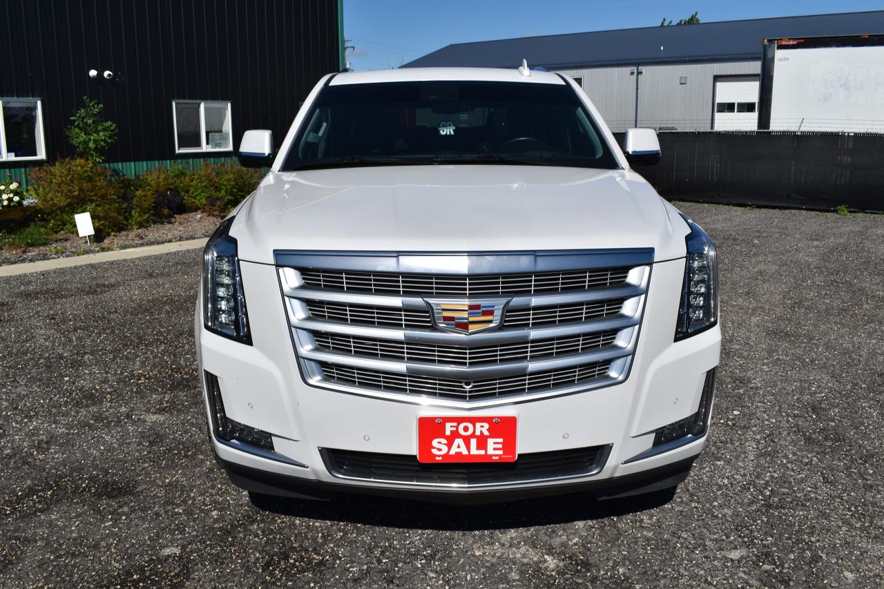 2020 Cadillac Escalade LUXURY - Photo #8