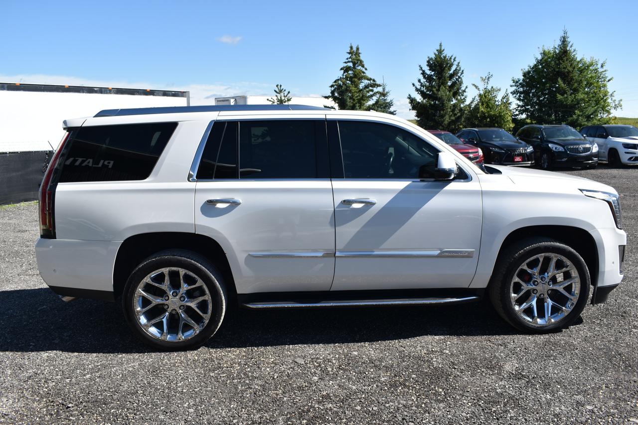 2020 Cadillac Escalade LUXURY - Photo #6