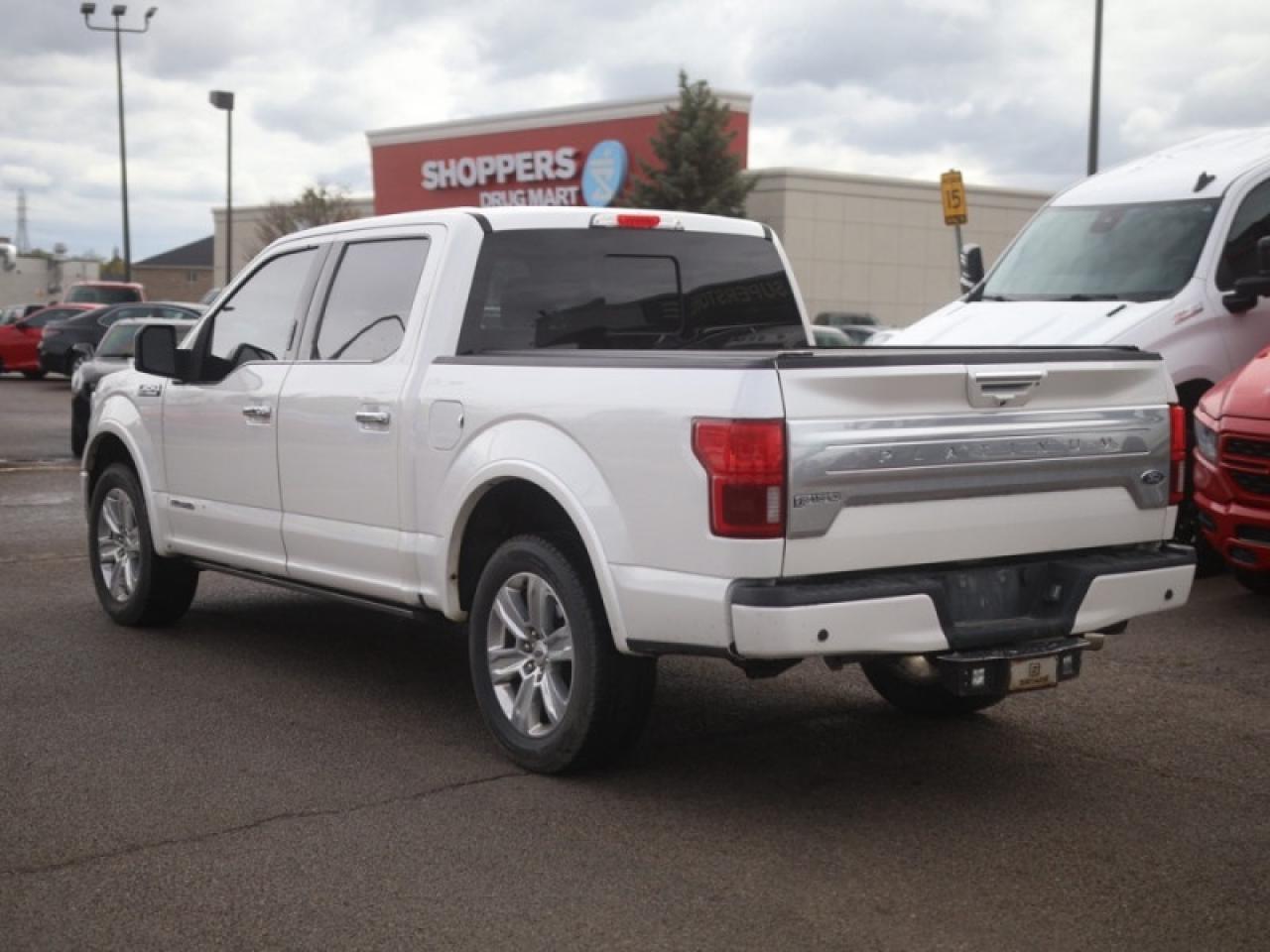 2019 Ford F-150 Platinum   **TWIN PANEL MOONROOF** Photo3