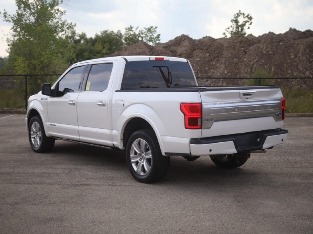 2019 Ford F-150 Platinum   **TWIN PANEL MOONROOF** Photo2