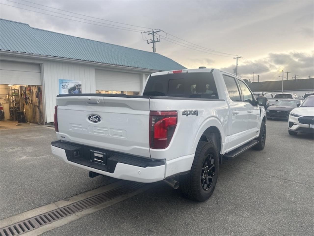 2025 Ford F-150 XLT Photo4