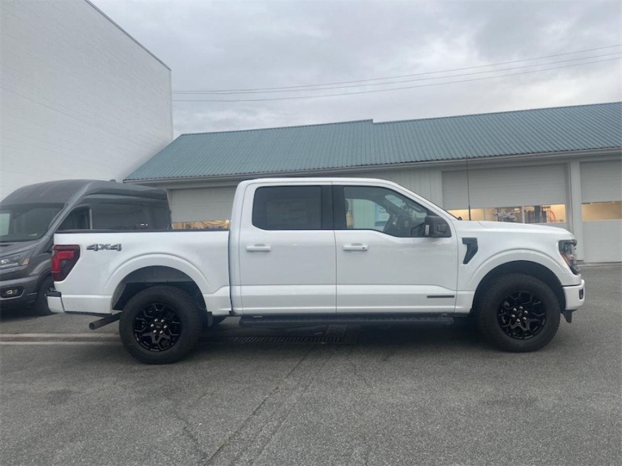 2025 Ford F-150 XLT Photo5