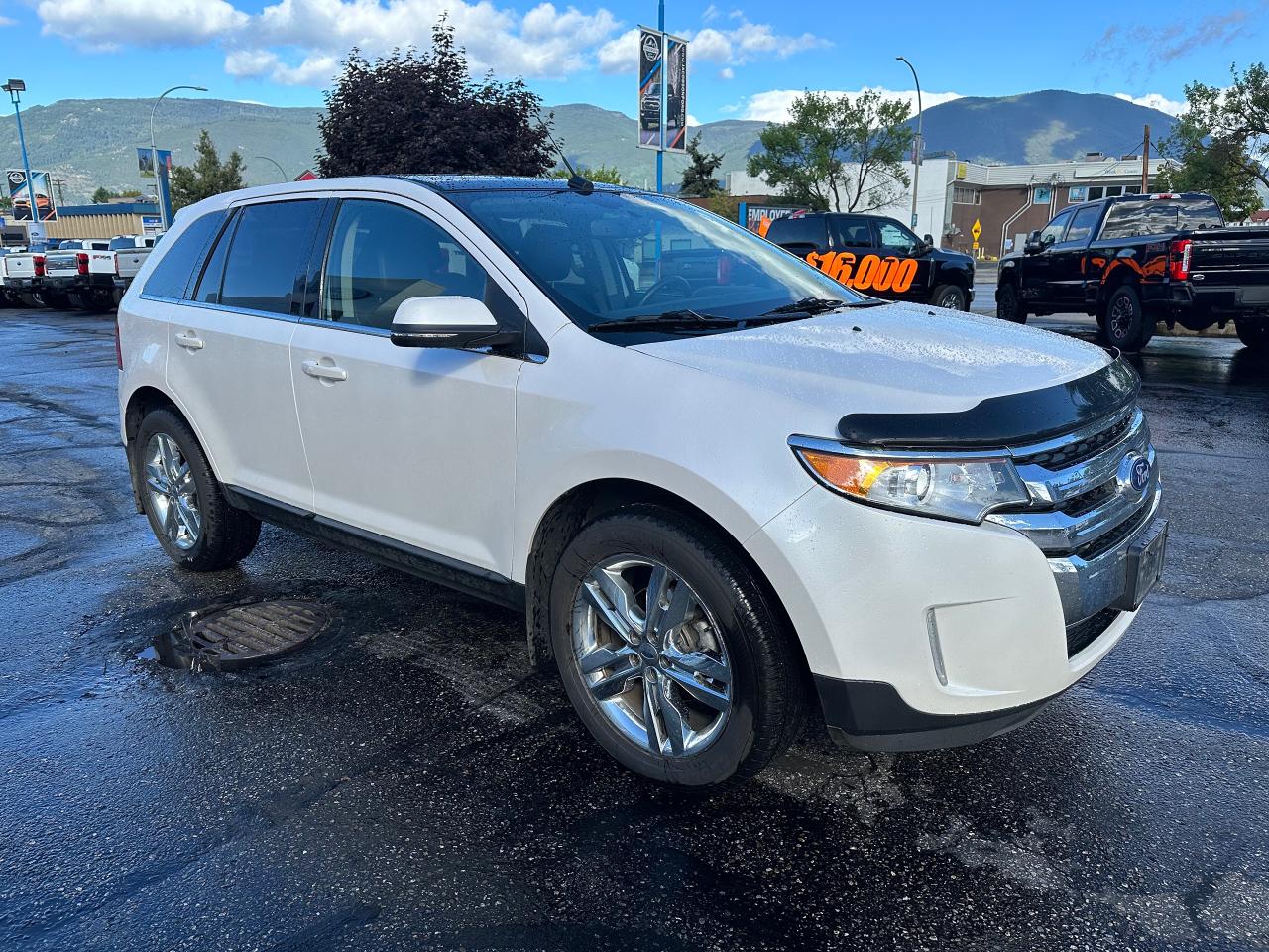 2014 Ford Edge Limited Photo2
