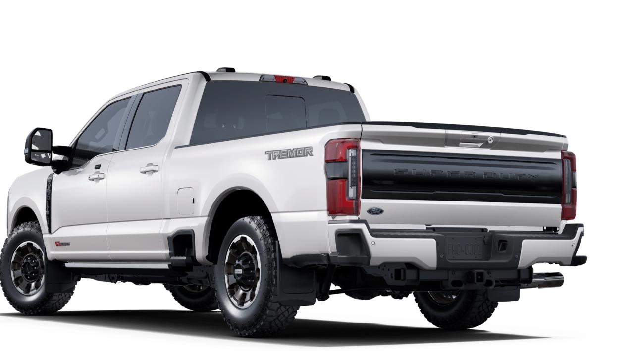 2025 Ford F-350 Super Duty SRW Platinum Photo