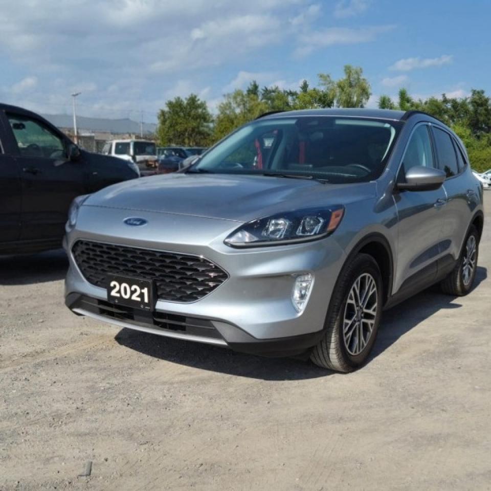 Used 2021 Ford Escape SEL for sale in Peterborough, ON