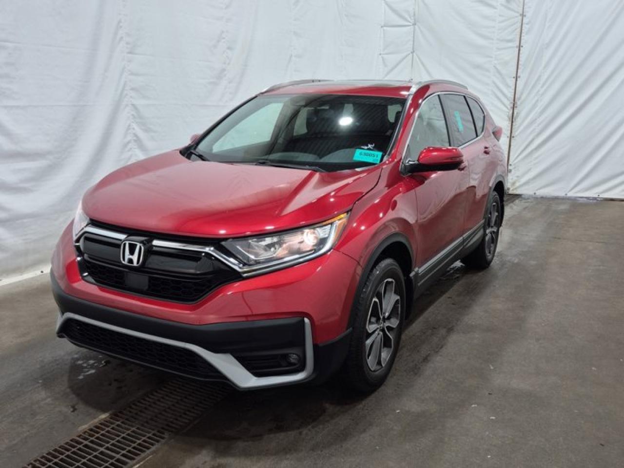 Used 2020 Honda CR-V EX-L AWD | Leather | Sunroof | Heated Wheel + Seats | Adaptive Cruise | Rear Camera | Power Seat | for sale in Guelph, ON