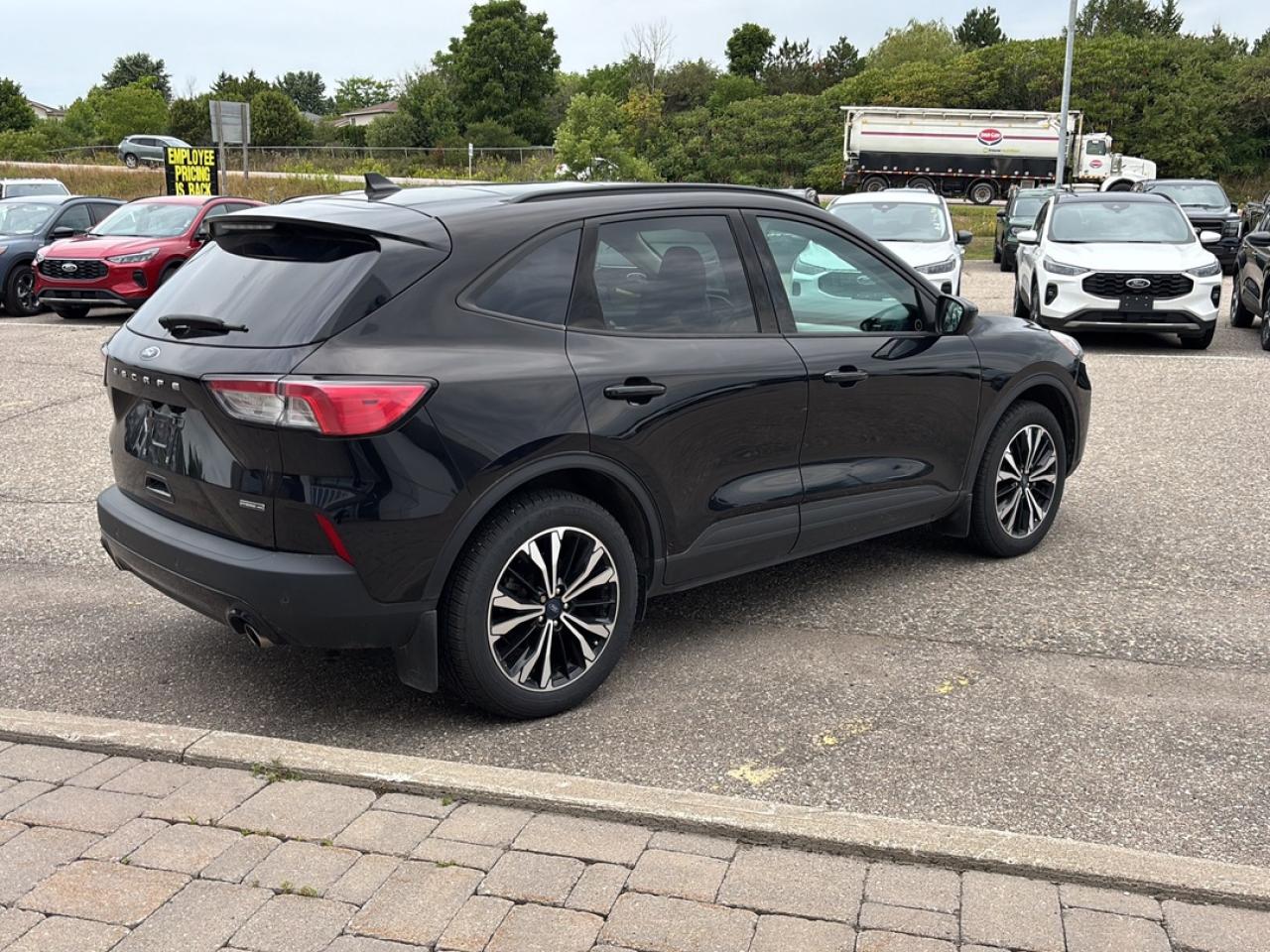 2021 Ford Escape SE AWD Hybrid Photo4