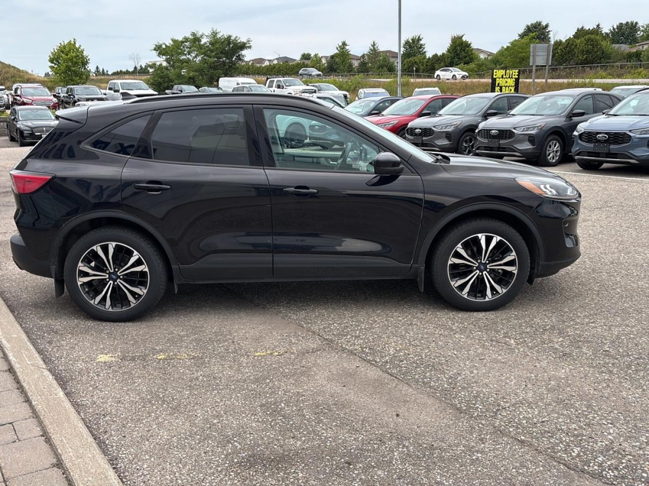 2021 Ford Escape SE AWD Hybrid Photo3