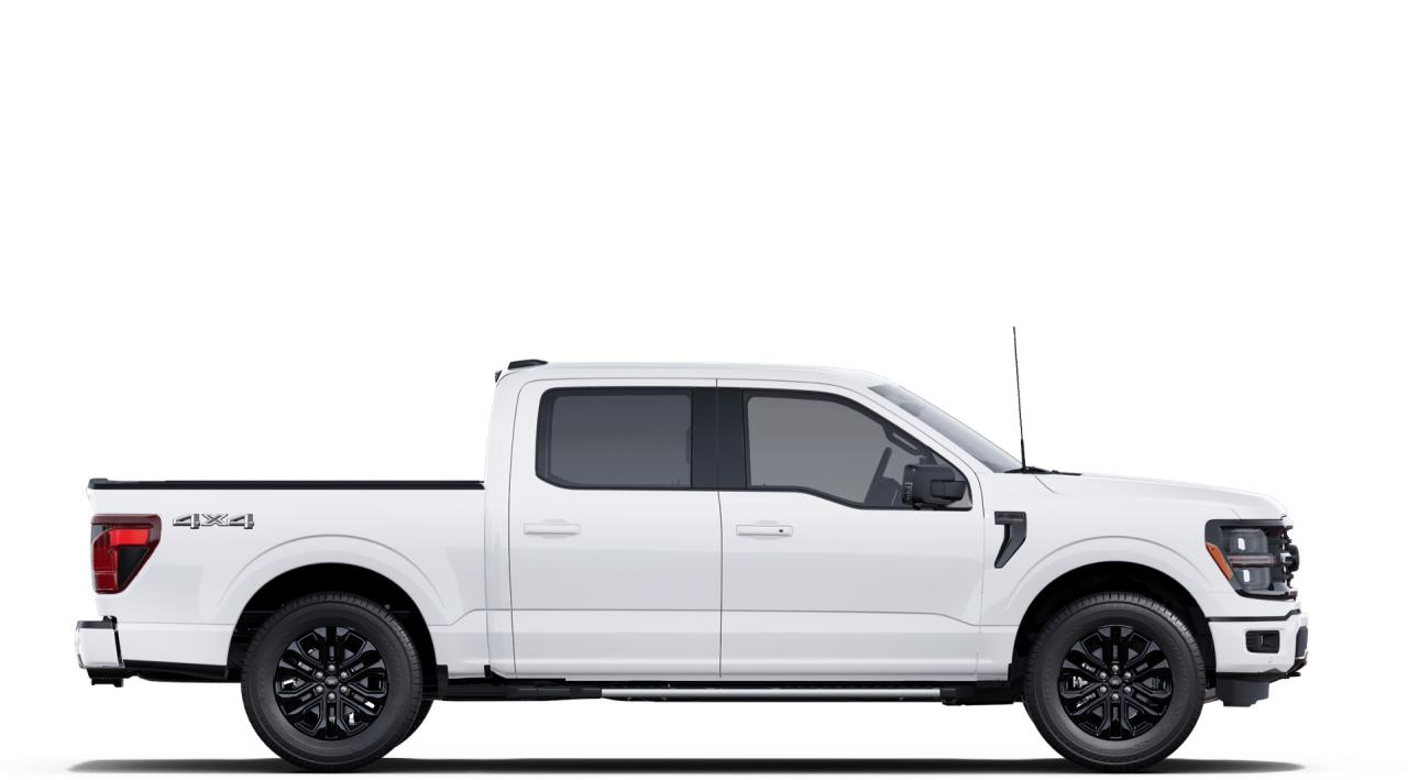 2025 Ford F-150 XLT Photo7