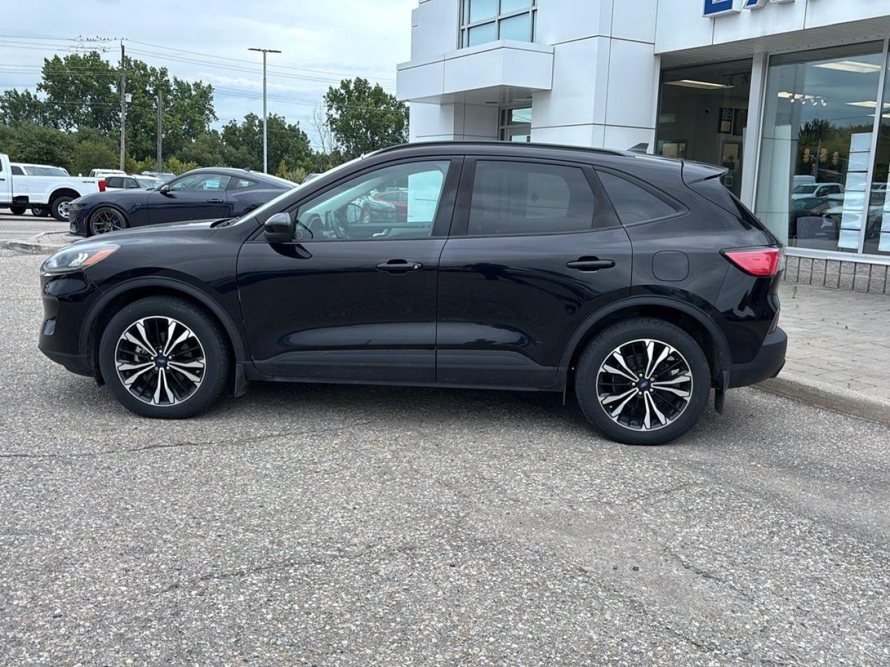 2021 Ford Escape SE Hybrid Photo5