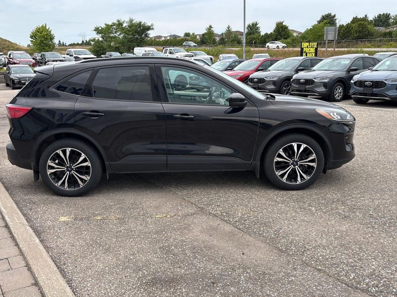 2021 Ford Escape SE Hybrid Photo