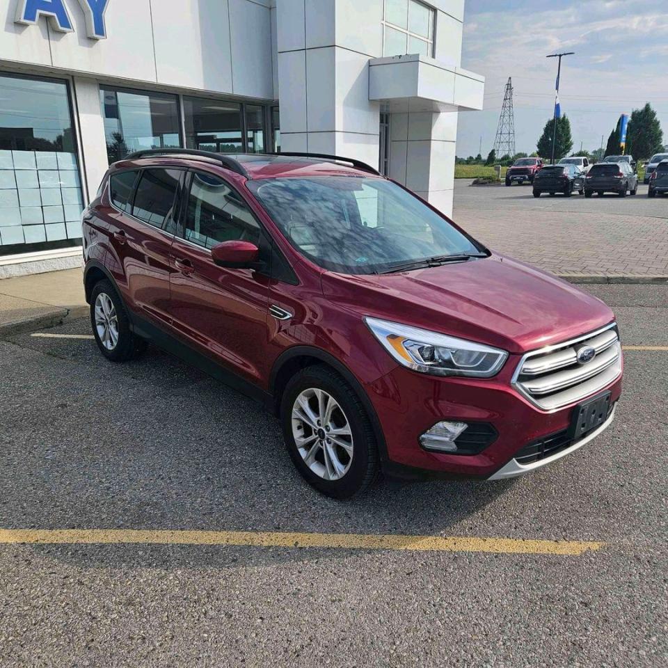 2017 Ford Escape SE Photo5