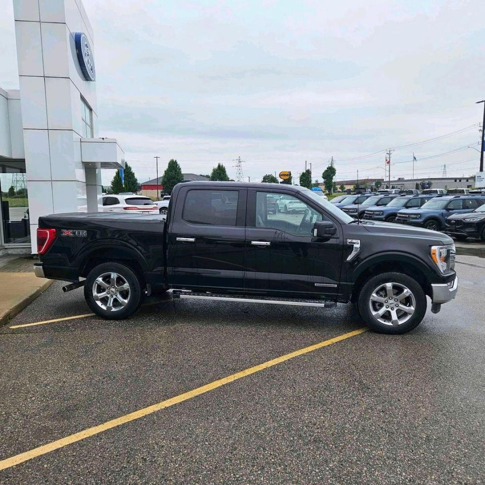 2022 Ford F-150 XLT Photo