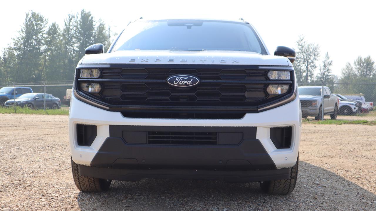 2025 Ford Expedition Active Photo2
