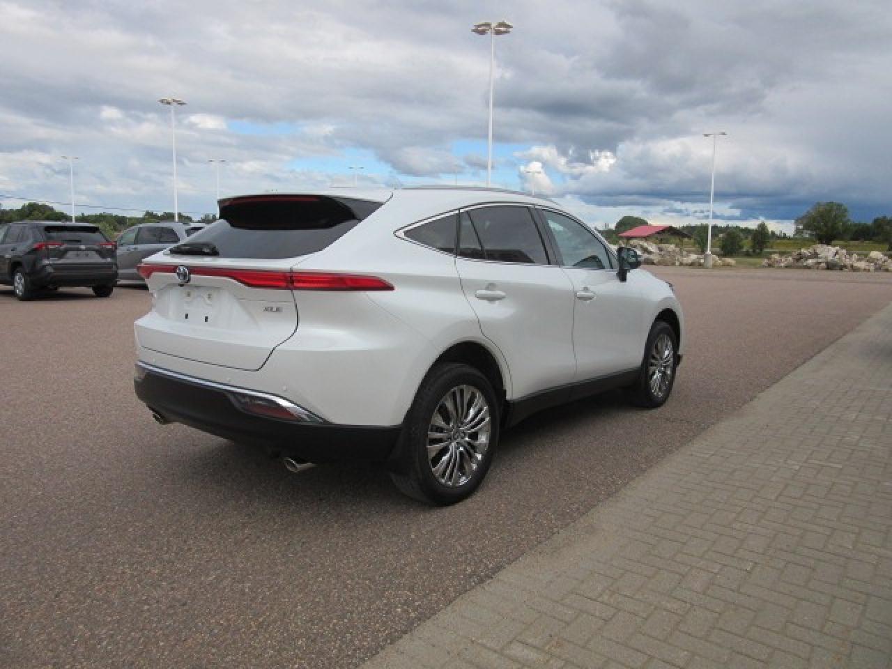 2024 Toyota Venza XLE Photo