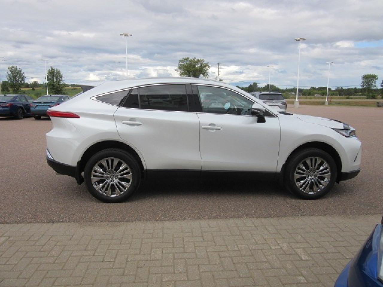 2024 Toyota Venza XLE Photo