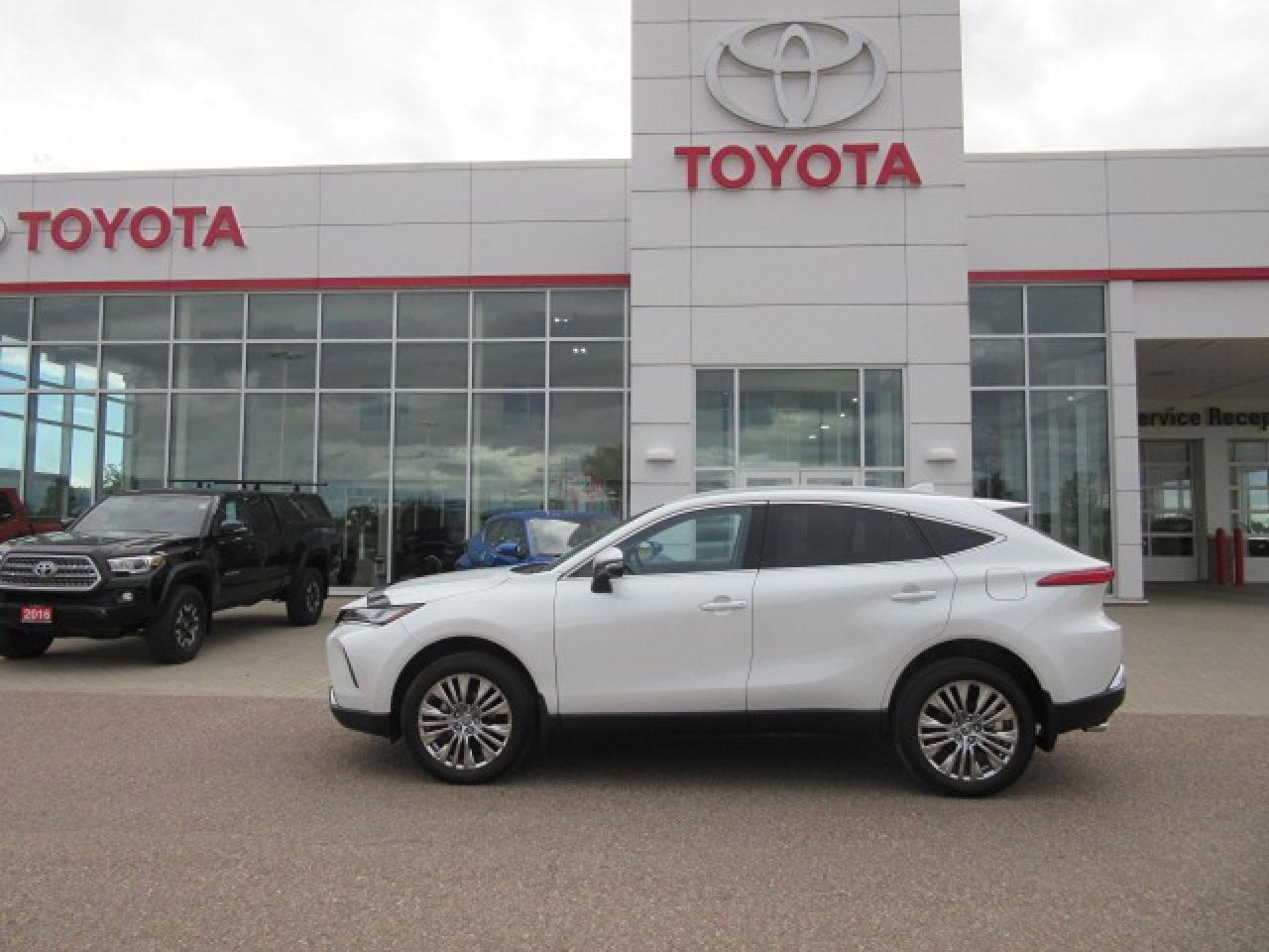 2024 Toyota Venza XLE Photo1
