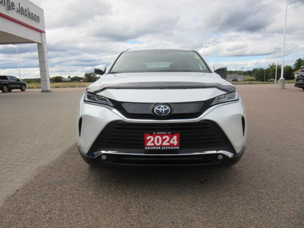 2024 Toyota Venza XLE Photo