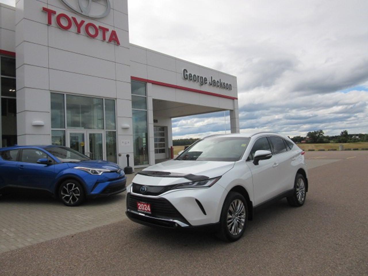 2024 Toyota Venza XLE Photo0