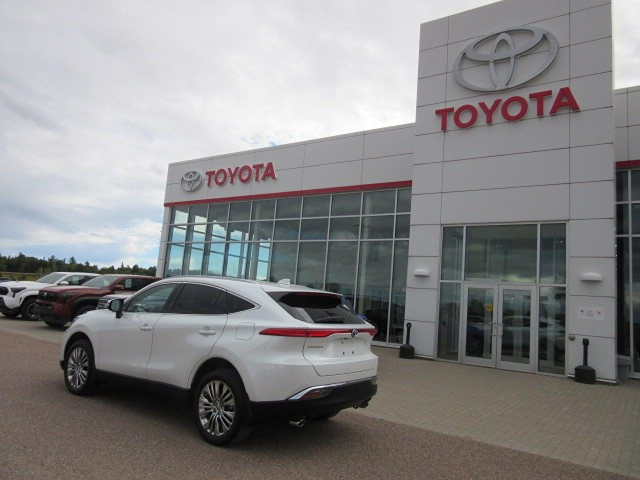 2024 Toyota Venza XLE Photo
