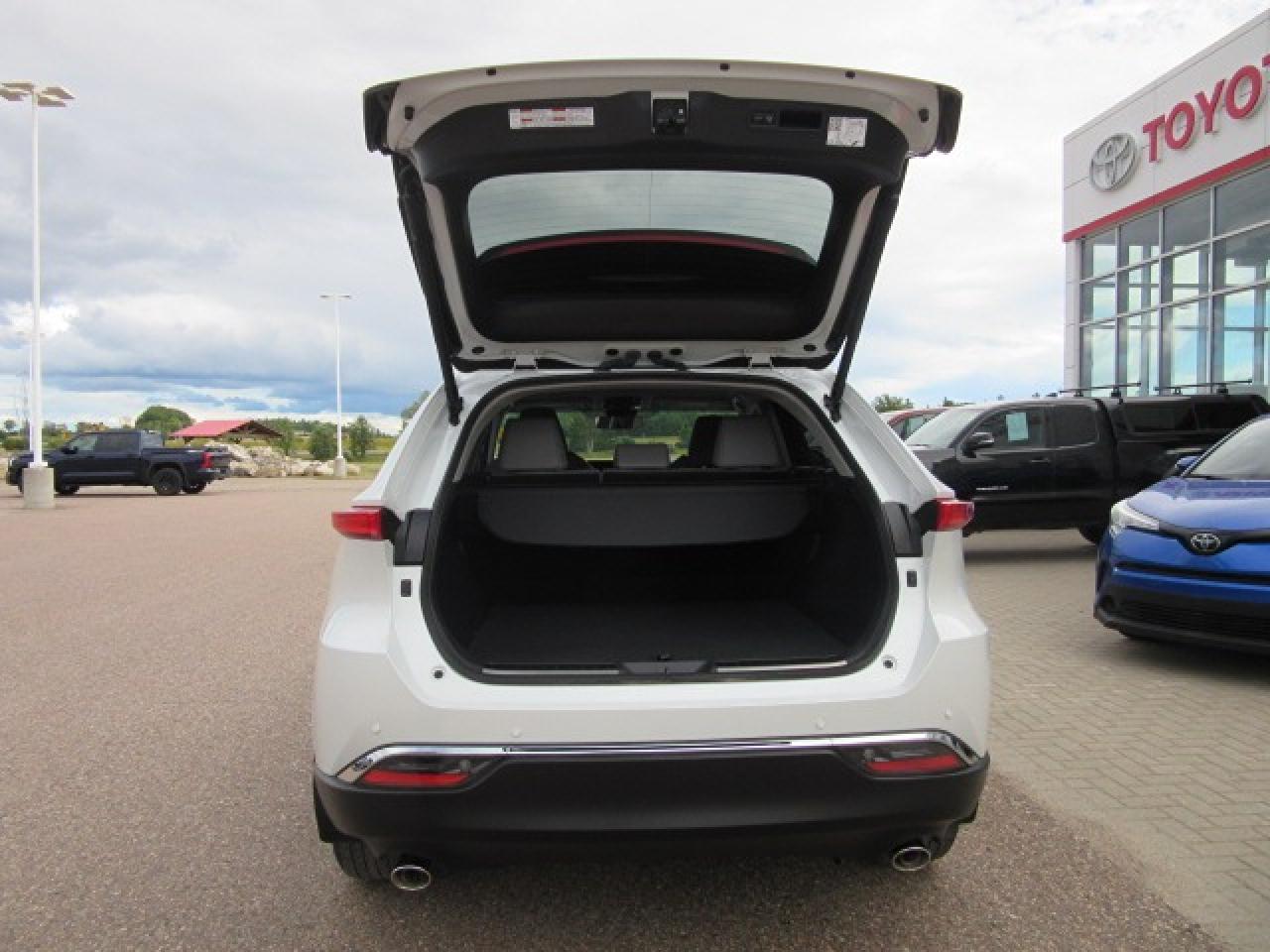 2024 Toyota Venza XLE Photo