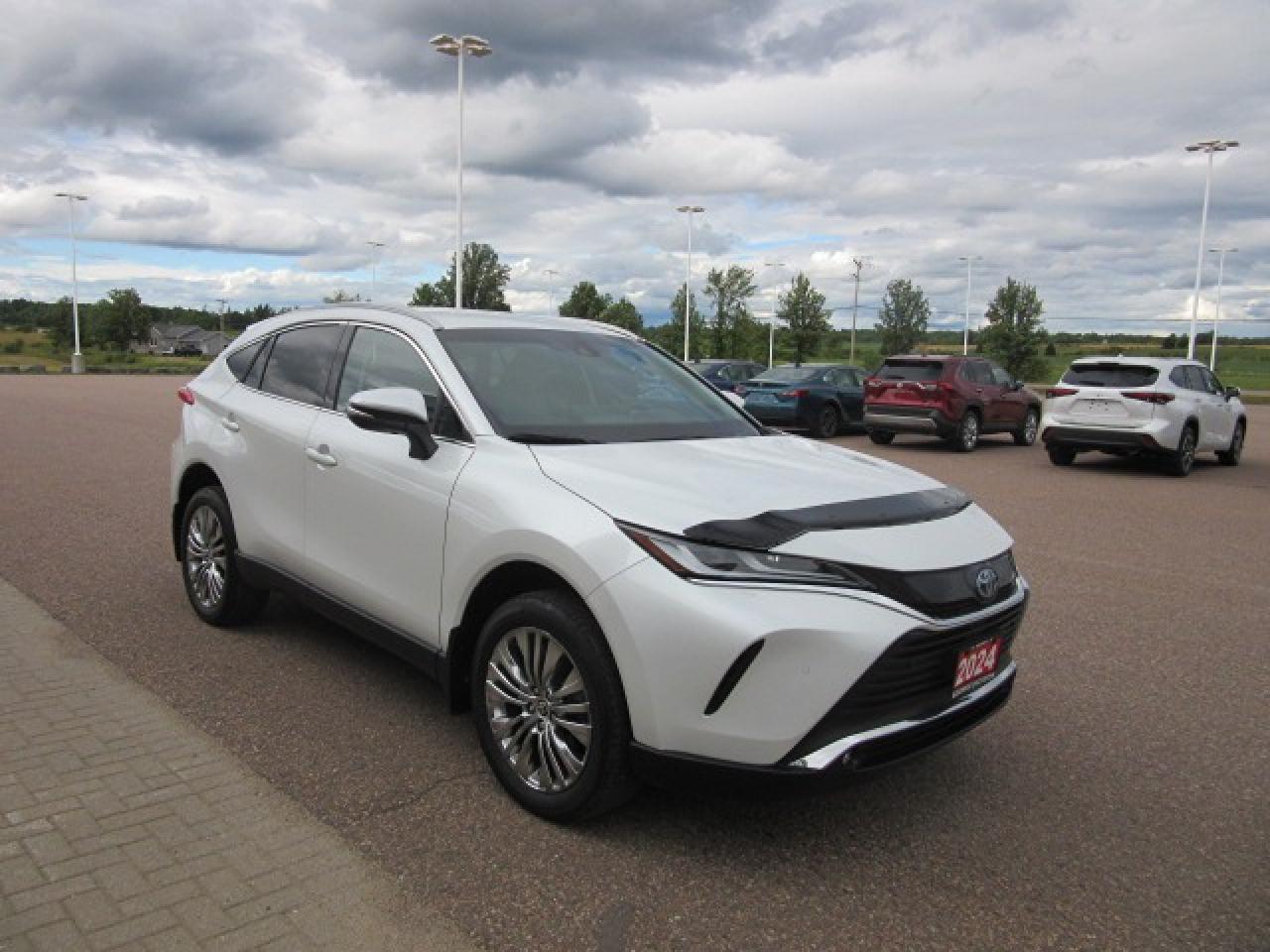2024 Toyota Venza XLE Photo