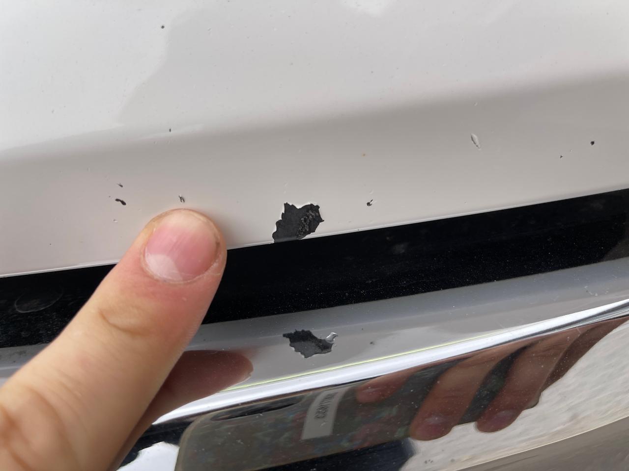 2020 Toyota Tundra TRD OFF ROAD Photo