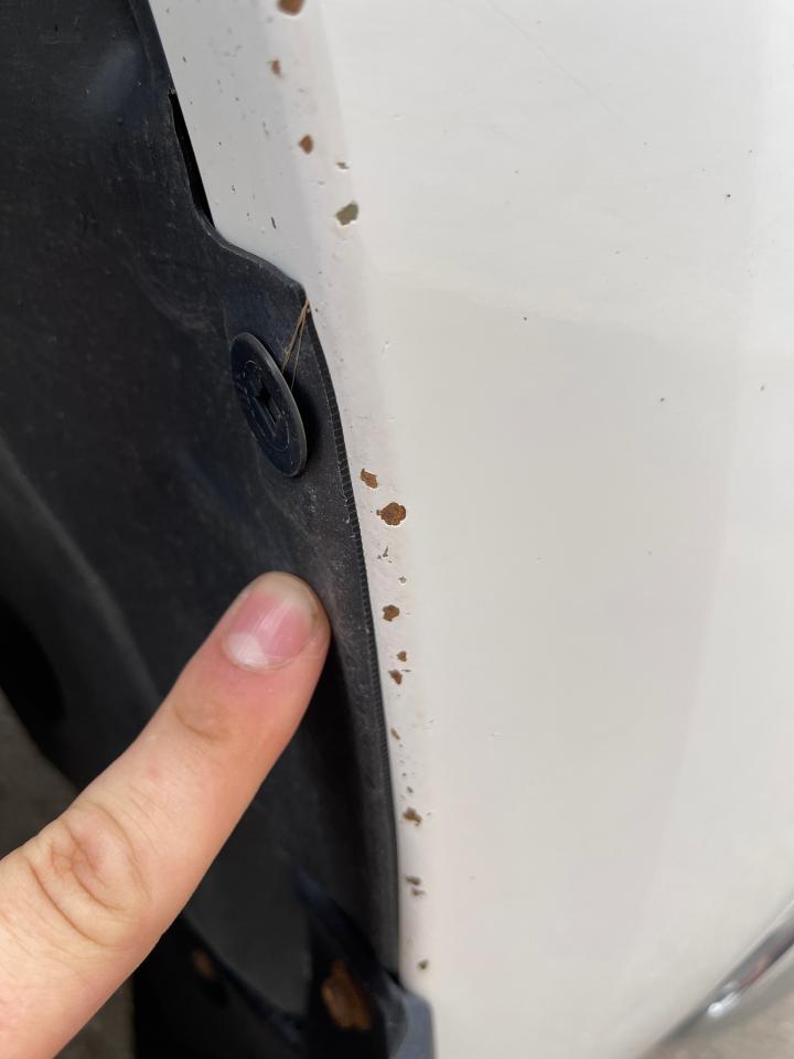 2020 Toyota Tundra TRD OFF ROAD Photo