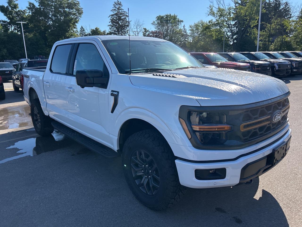 2025 Ford F-150 Tremor  - Tow Package Photo2