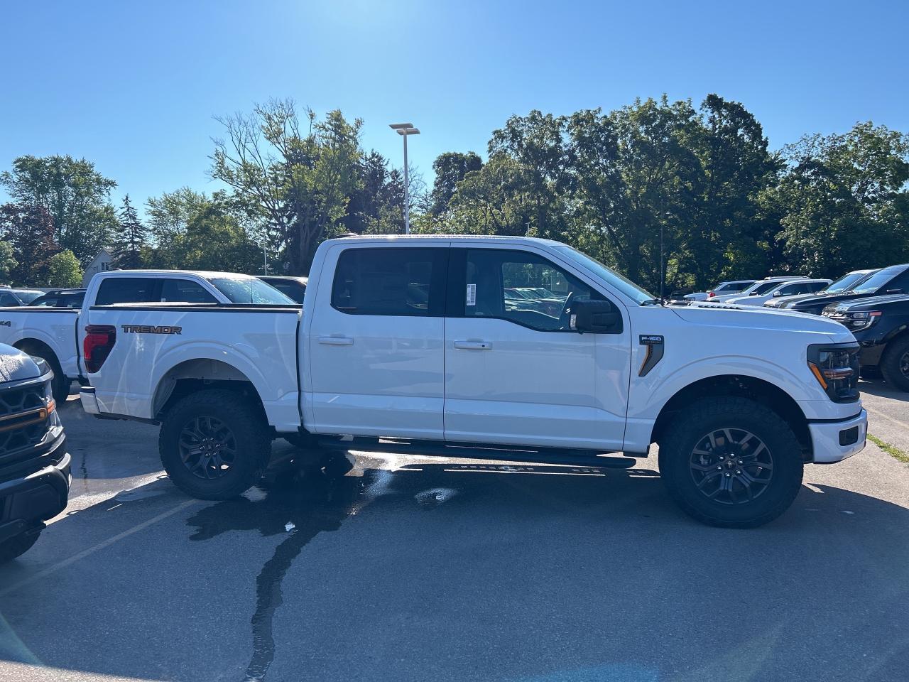 2025 Ford F-150 Tremor  - Tow Package Photo3