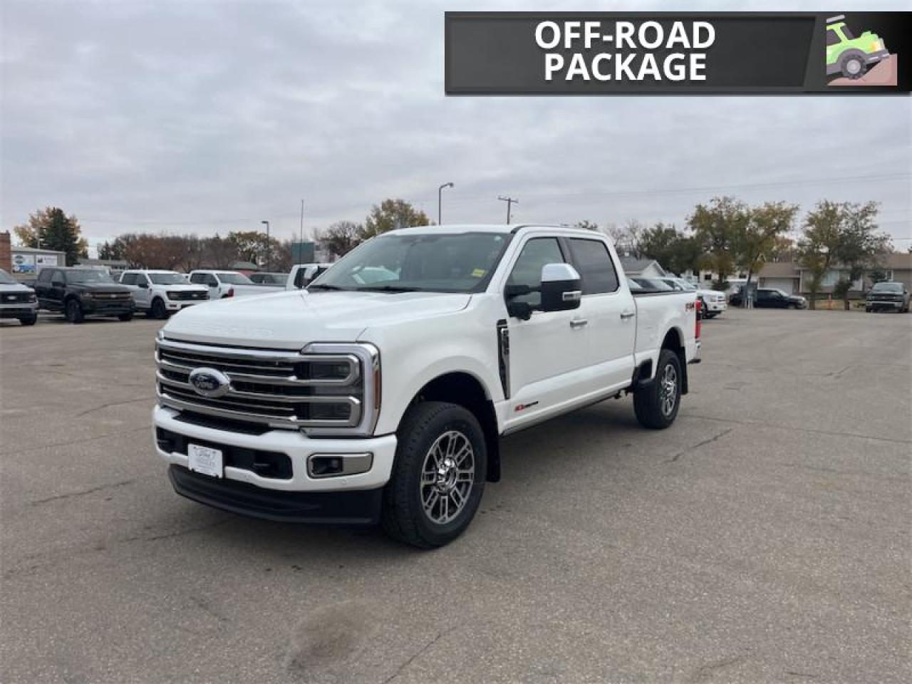 2026 Ford F-350 Super Duty Platinum Photo4