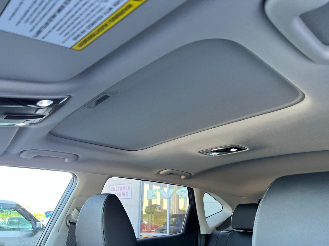 2026 Kia Seltos EX Photo