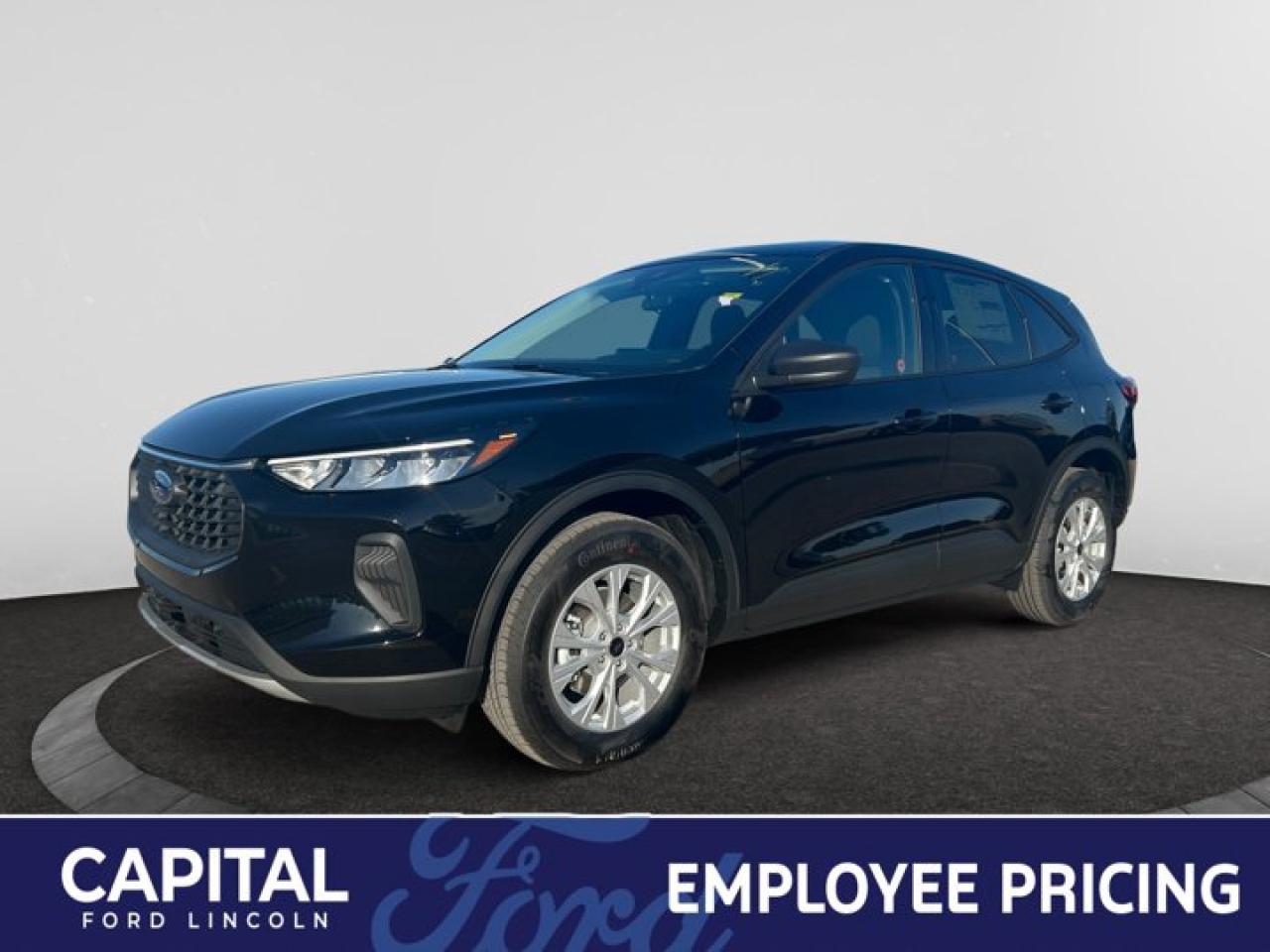 New 2025 Ford Escape Active for sale in Regina, SK