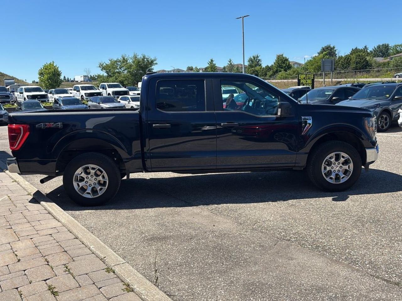 2023 Ford F-150 XLT Photo