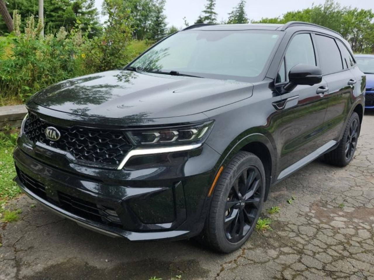 Used 2021 Kia Sorento SXAWD | 3rd Row | Leather | Pano Roof | Nav | HUD | 360 Camera | Smart Cruise | Bose | and More ! for sale in Guelph, ON