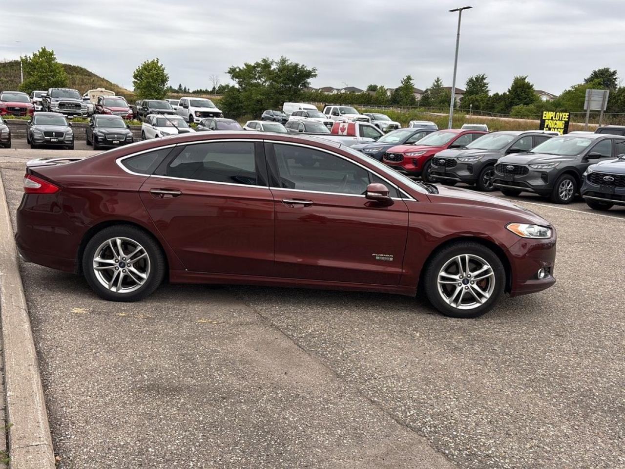 2016 Ford Fusion Energi Titanium Photo3