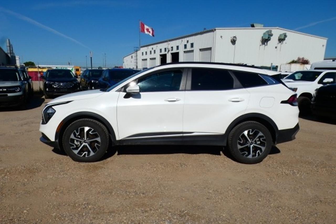 2024 Kia Sportage EX AWD w/Htd Leather, pano S/R, NAV, BUC - Photo #1