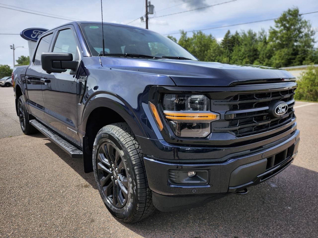 2025 Ford F-150 XLT 4WD SuperCrew 5.5' Box Photo2