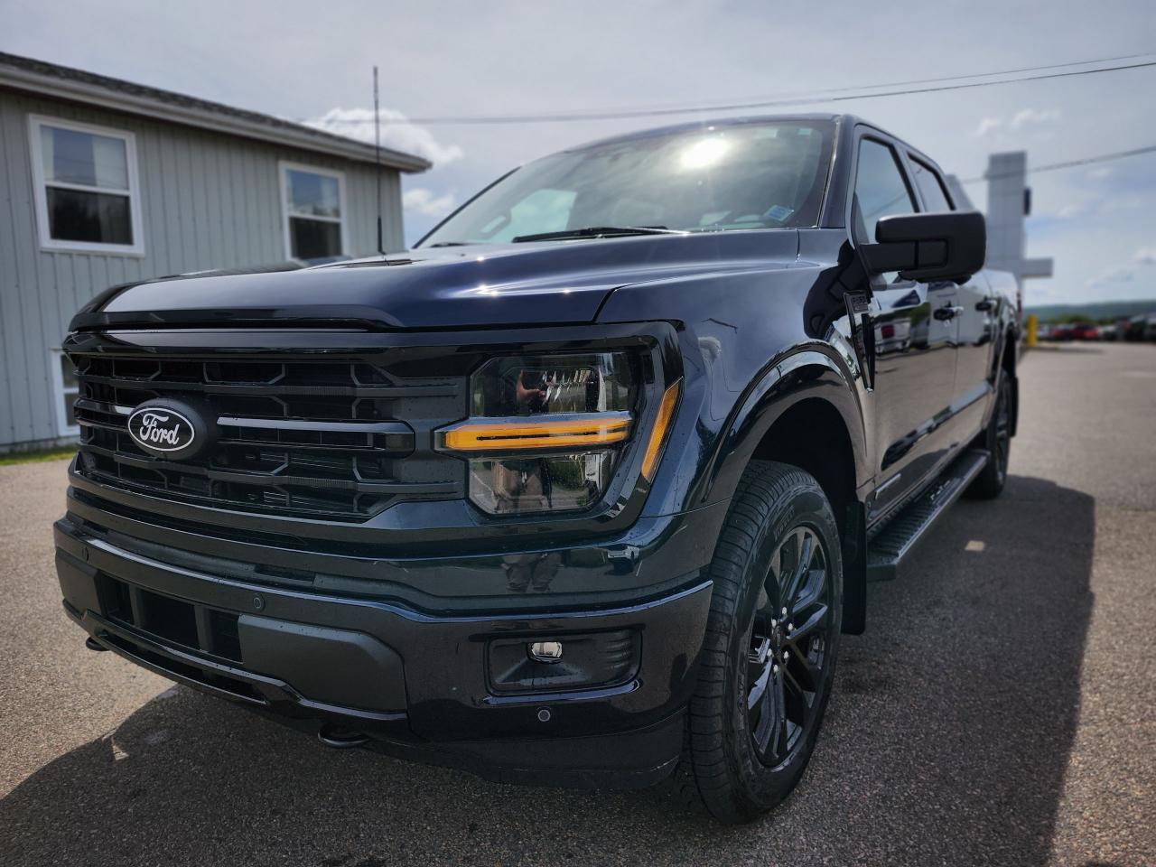 2025 Ford F-150 XLT 4WD SuperCrew 5.5' Box Photo5
