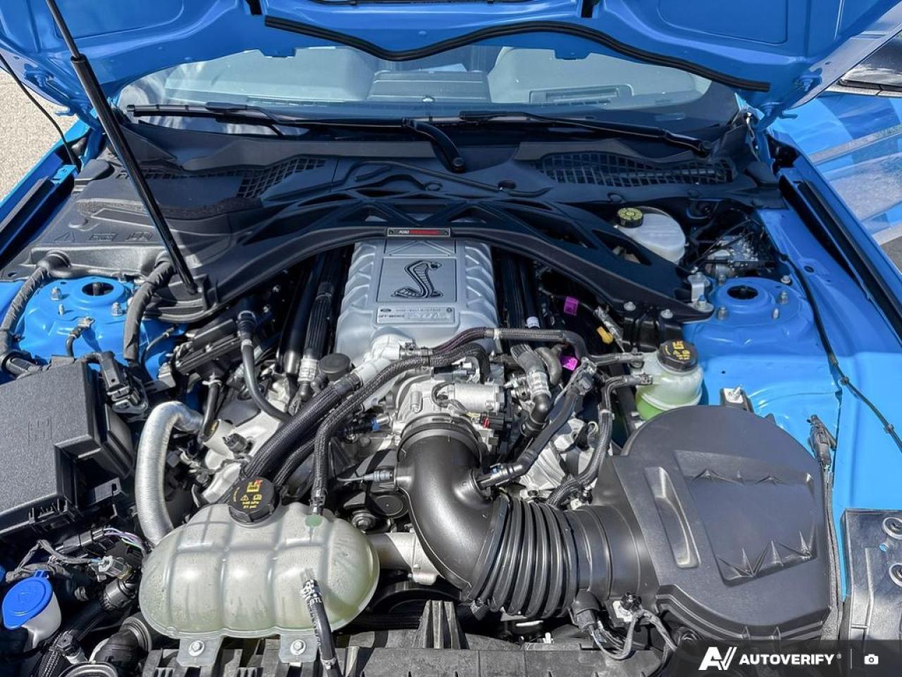 2022 Ford Mustang SHELBY GT500 / SUPERCHARGED V8 / RECARO SEATS - Photo #10