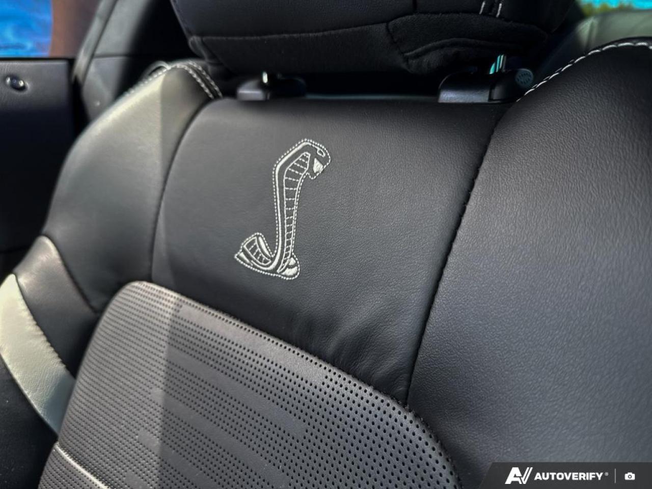 2022 Ford Mustang SHELBY GT500 / SUPERCHARGED V8 / RECARO SEATS - Photo #19