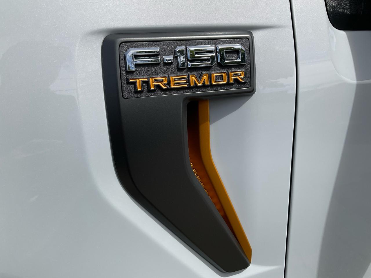 2025 Ford F-150 Tremor Photo5