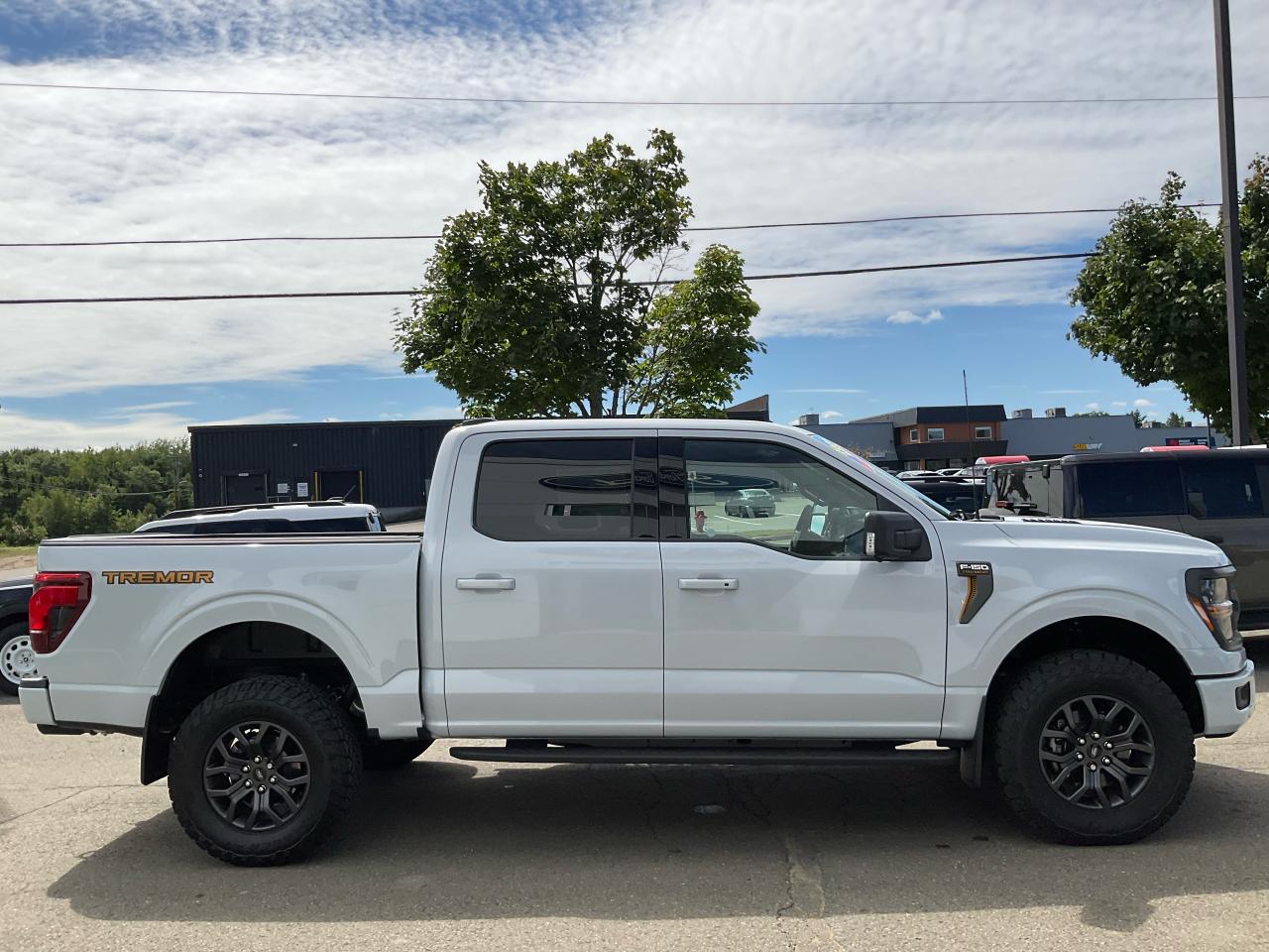 2025 Ford F-150 Tremor Photo3