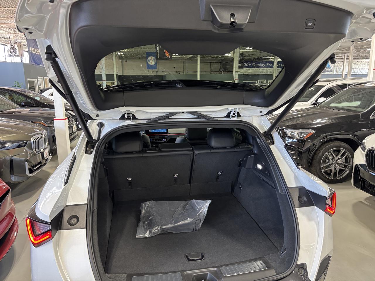 2024 Acura ZDX A-Spec|AWD|ELECTRIC|NAV|BANGOLUFSEN|AMBIENT|PANO|+ - Photo #10