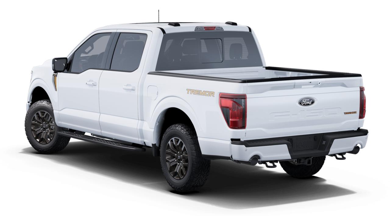 2025 Ford F-150 Tremor Photo1