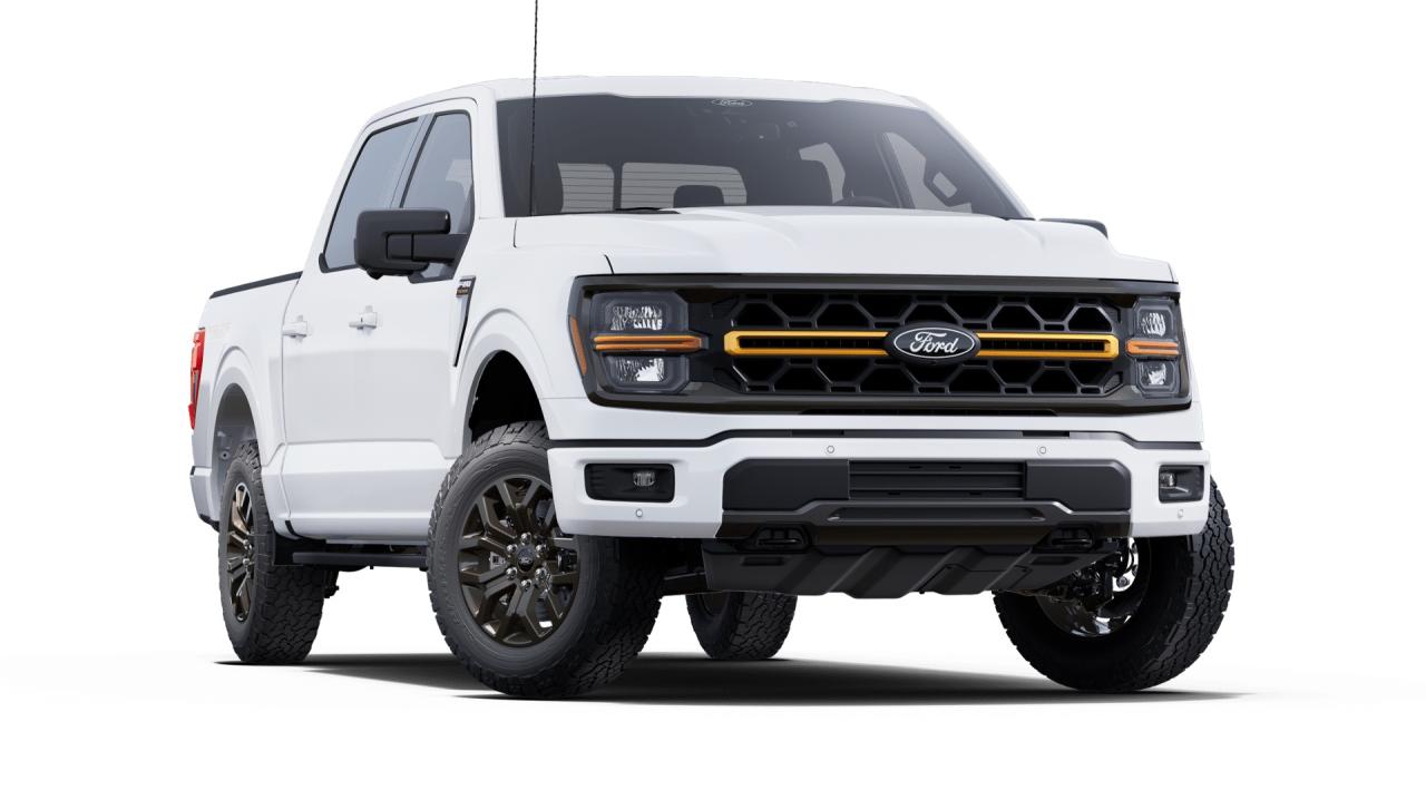 2025 Ford F-150 Tremor Photo