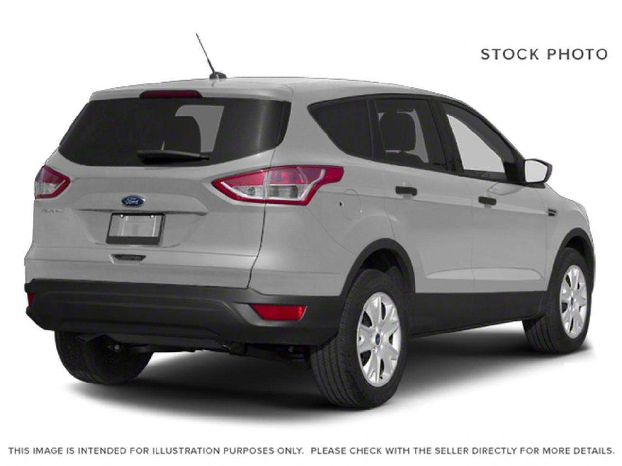 2013 Ford Escape SE Photo2